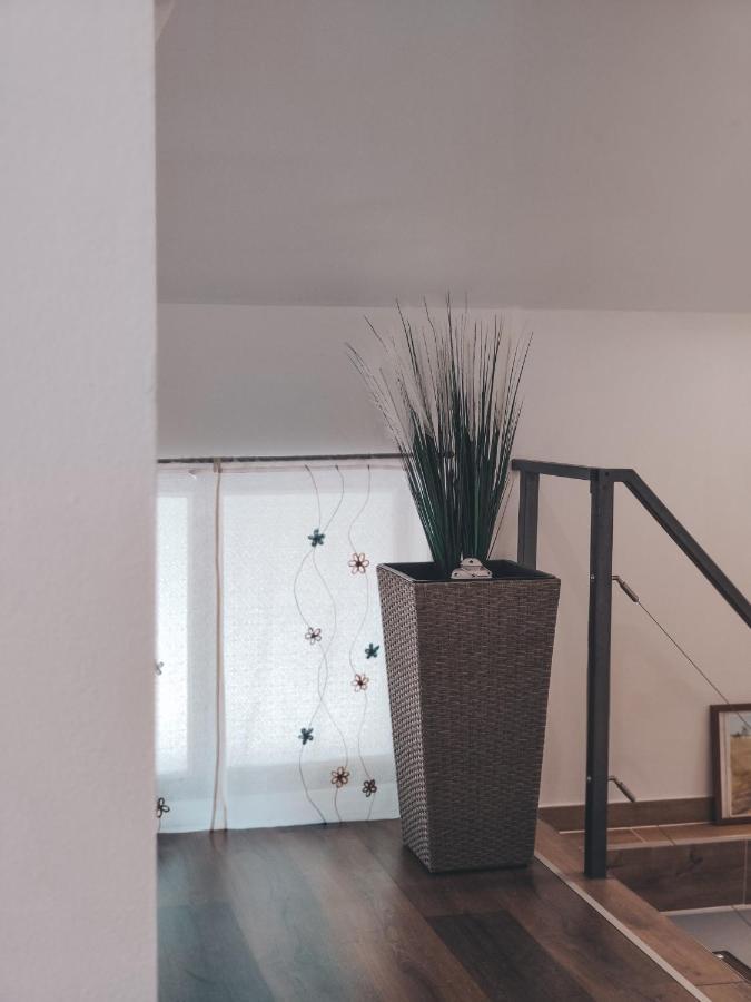 Villa-Apartments Bognar Velika Екстер'єр фото